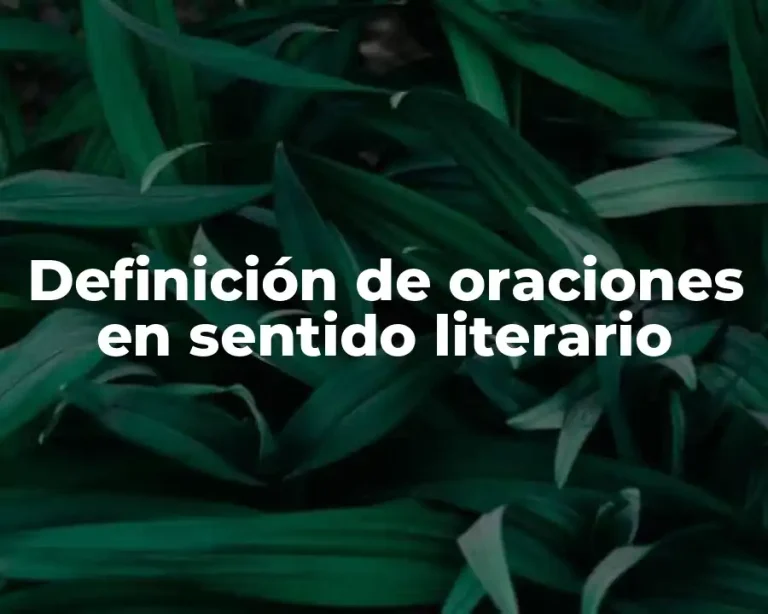 Definición de oraciones en sentido literario