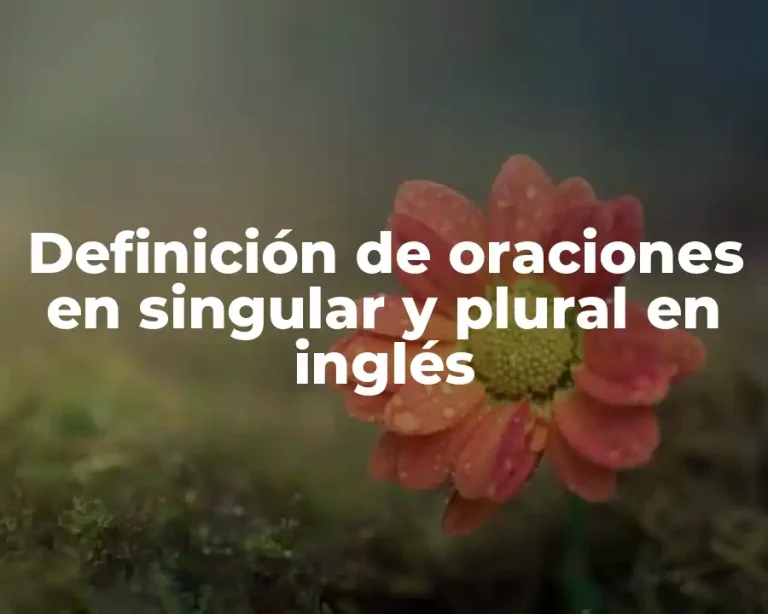 Definición de oraciones en singular y plural en inglés