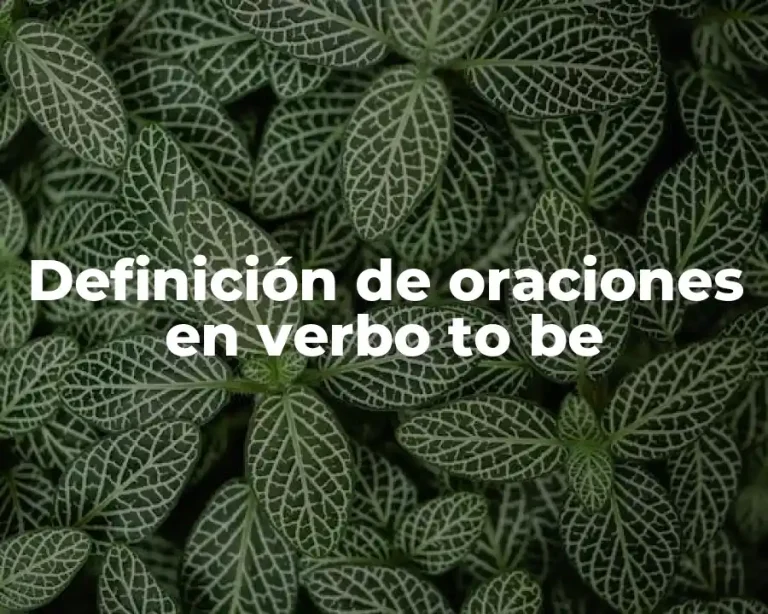 Definición de oraciones en verbo to be