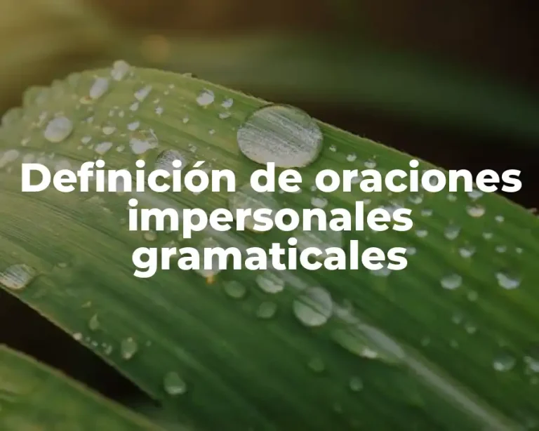 Definición de oraciones impersonales gramaticales