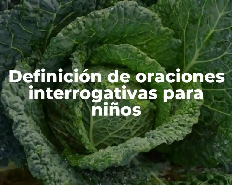 Definición de oraciones interrogativas para niños