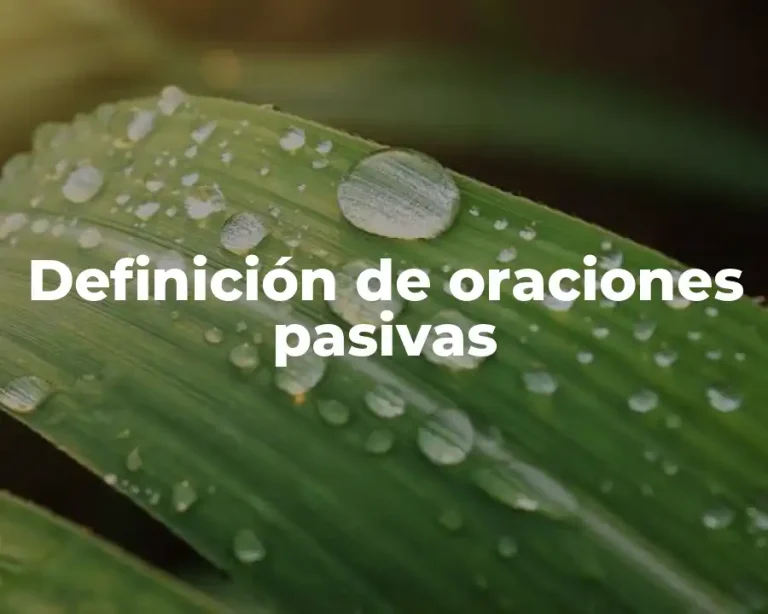Definición de oraciones pasivas