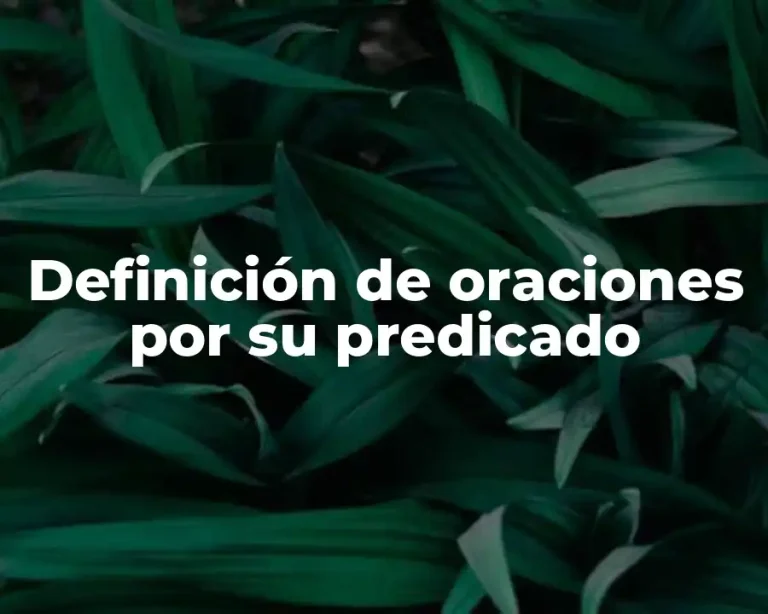 Definición de oraciones por su predicado