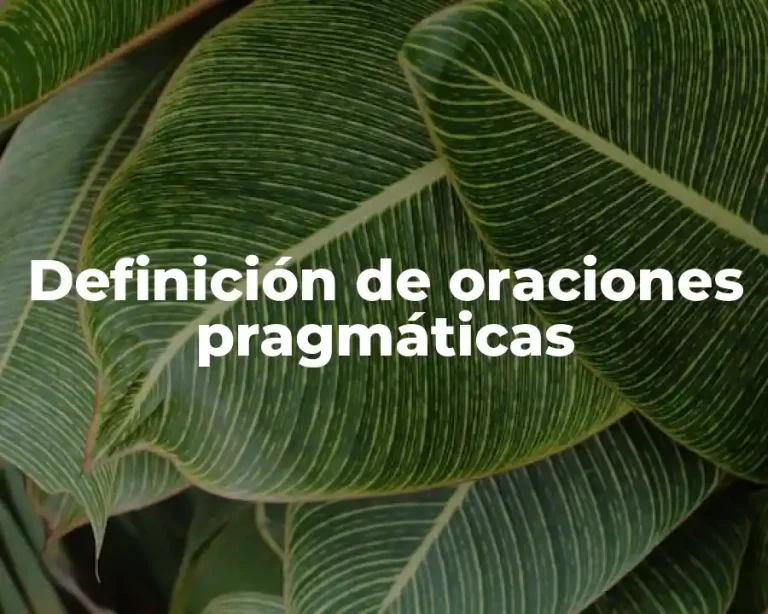 Definición de oraciones pragmáticas