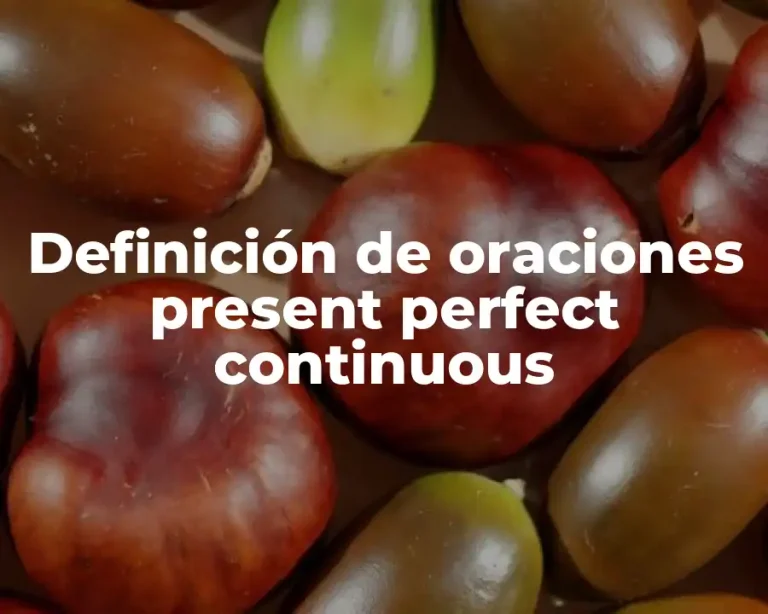 Definición de oraciones present perfect continuous
