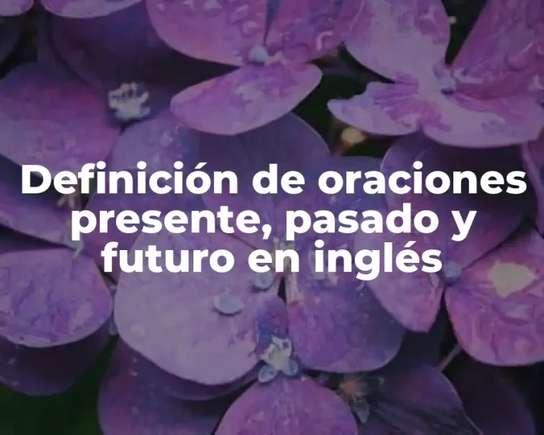 Definición de oraciones presente, pasado y futuro en inglés
