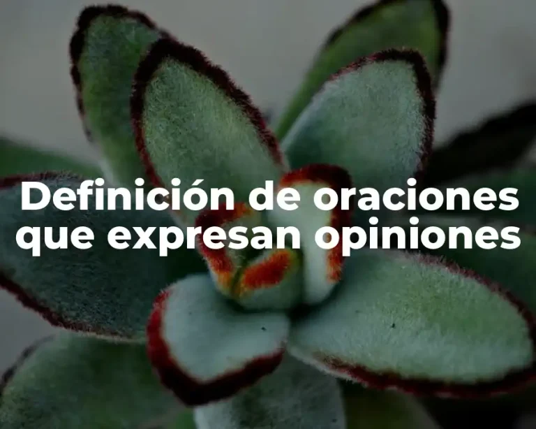 Definición de oraciones que expresan opiniones