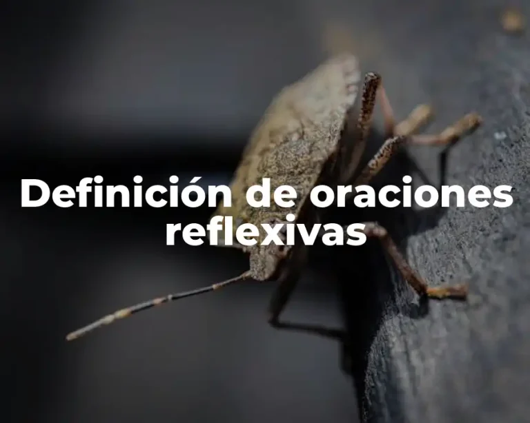 Definición de oraciones reflexivas