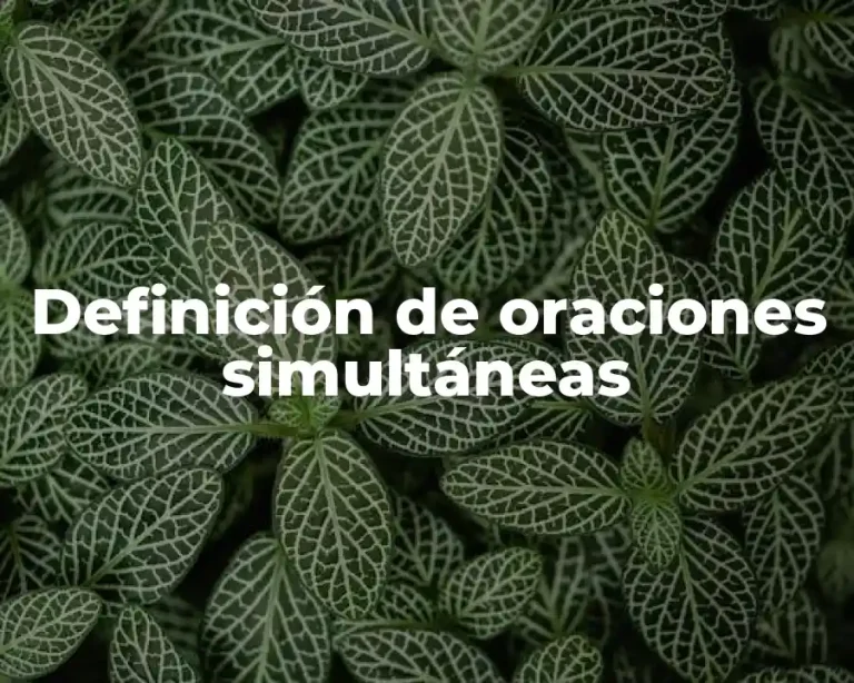 Definición de oraciones simultáneas