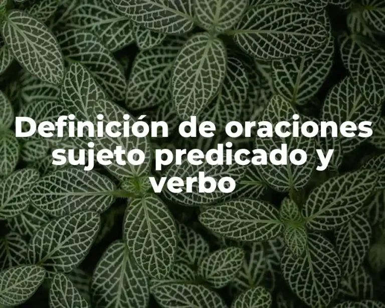 Definición de oraciones sujeto predicado y verbo