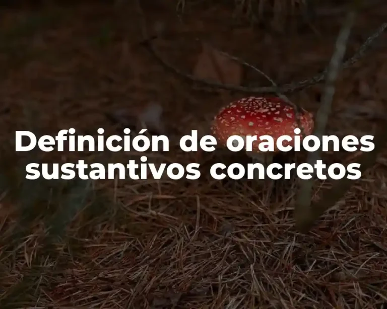 Definición de oraciones sustantivos concretos