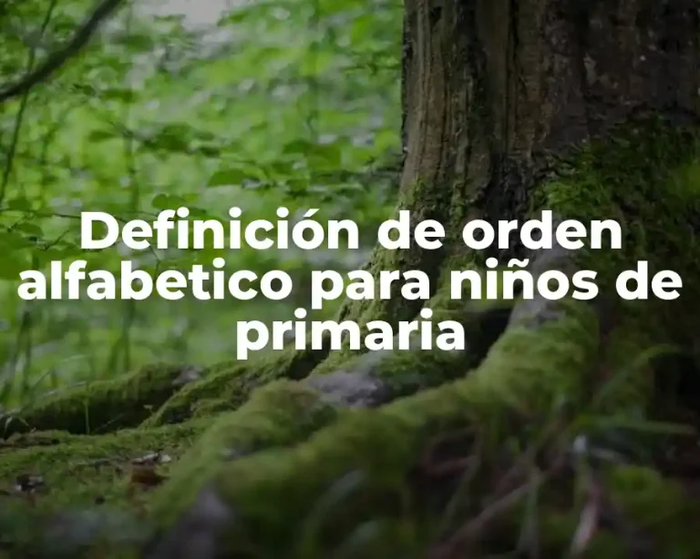 Definición de orden alfabetico para niños de primaria