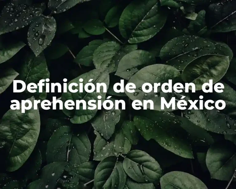 Definición de orden de aprehensión en México