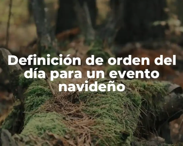 Definición de orden del día para un evento navideño