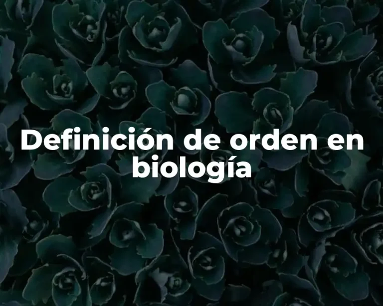 Definición de orden en biología