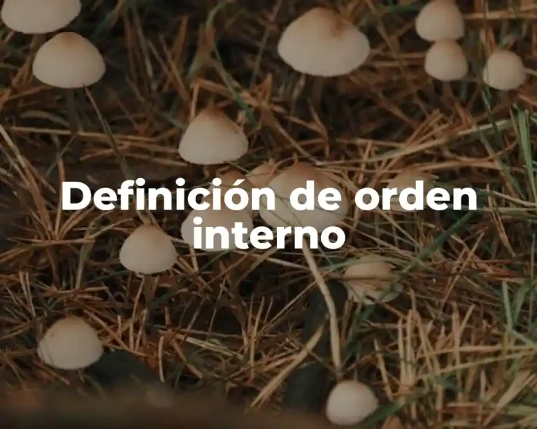 Definición de orden interno