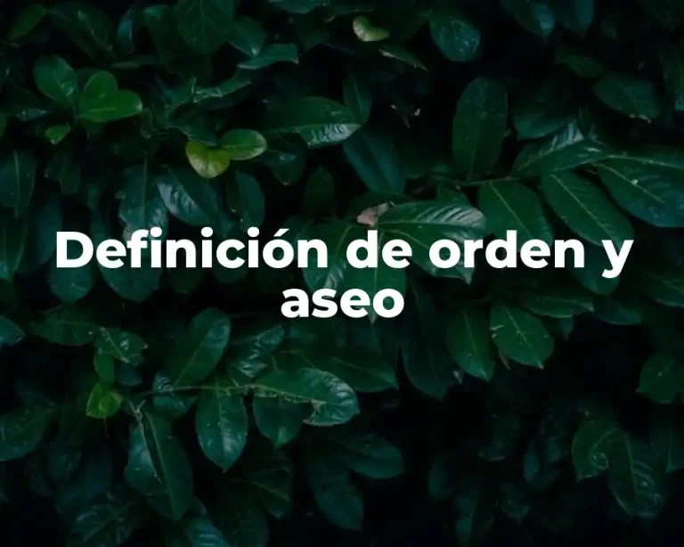 Definición de orden y aseo