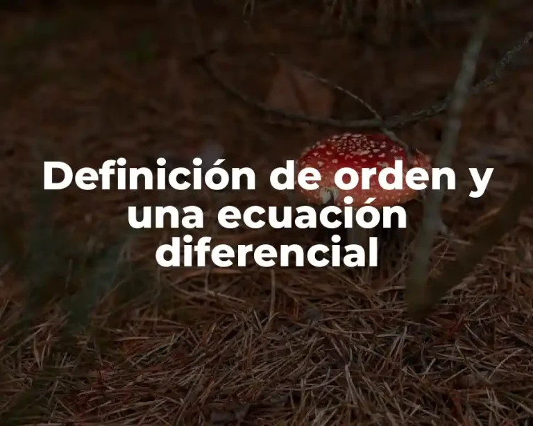 Definición de orden y una ecuación diferencial