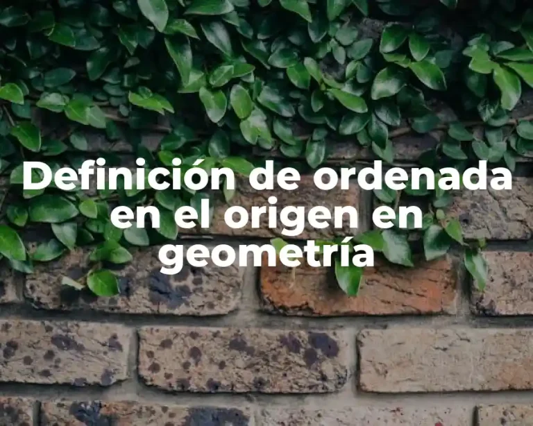 Definición de ordenada en el origen en geometría
