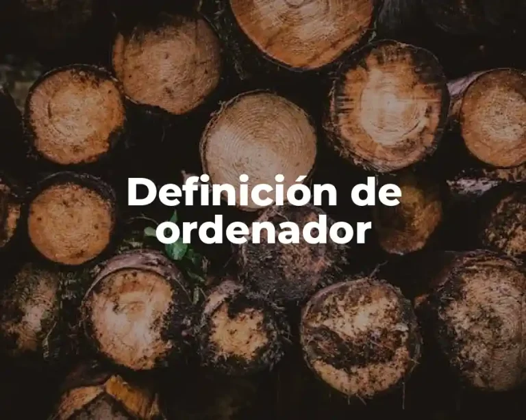 Definición de ordenador
