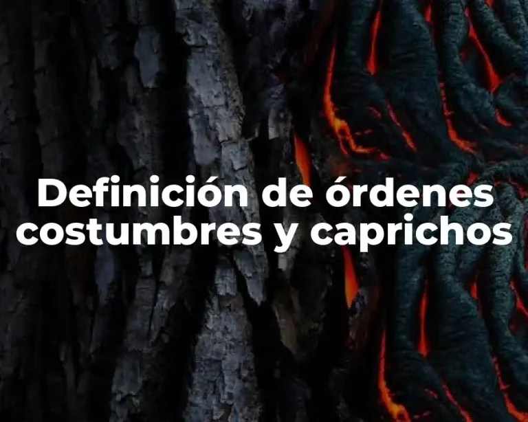 Definición de órdenes costumbres y caprichos