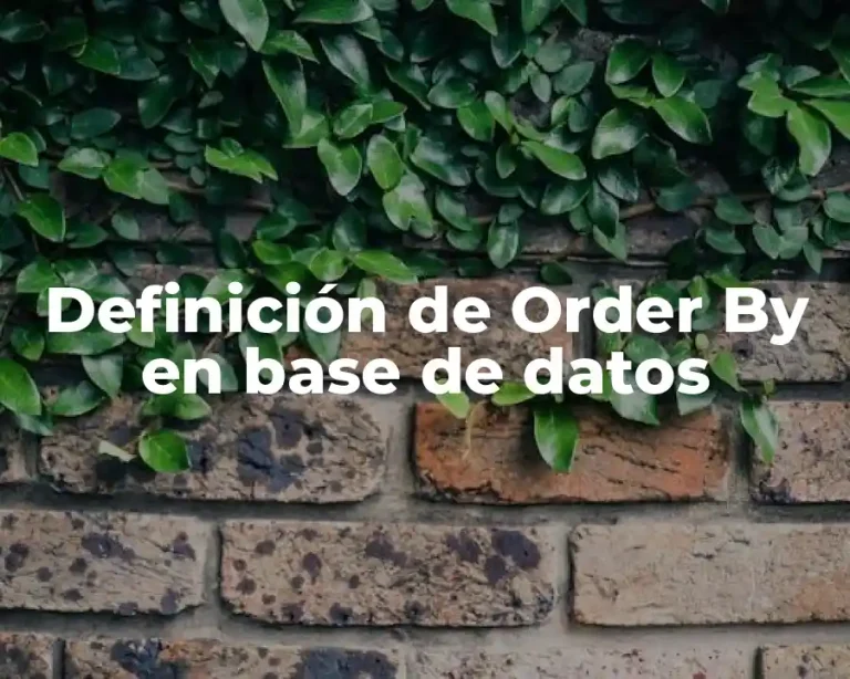 Definición de Order By en base de datos