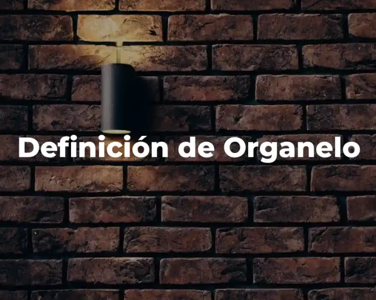 Definición de Organelo