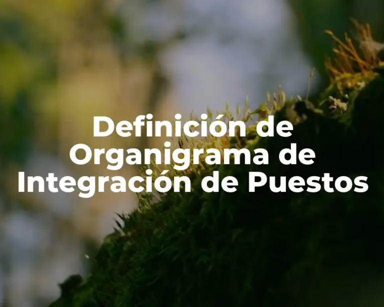 Definición de Organigrama de Integración de Puestos