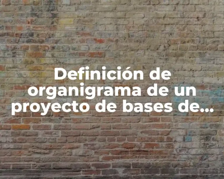 Definición de organigrama de un proyecto de bases de datos
