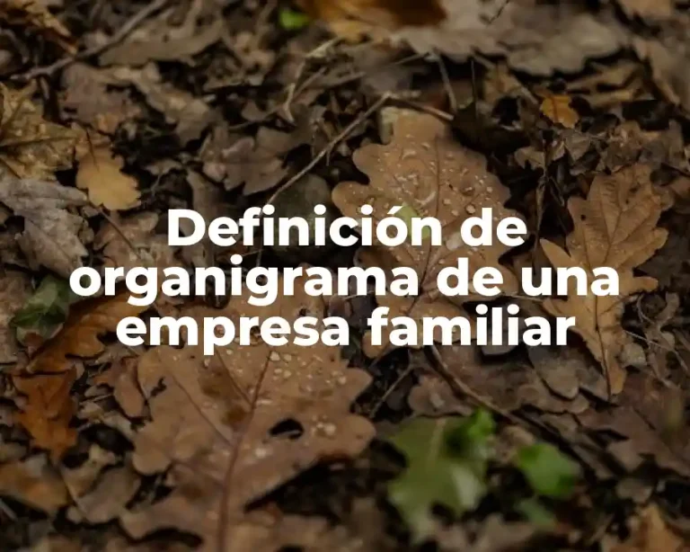 Definición de organigrama de una empresa familiar