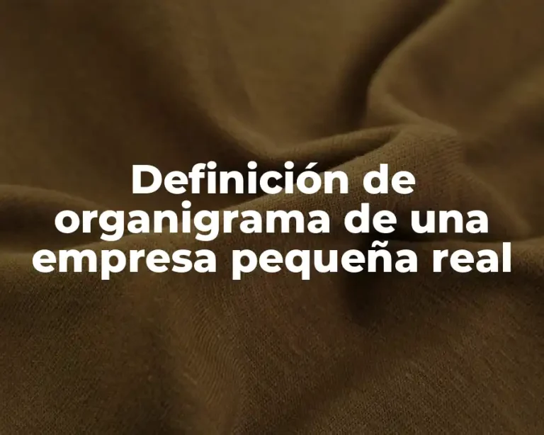 Definición de organigrama de una empresa pequeña real