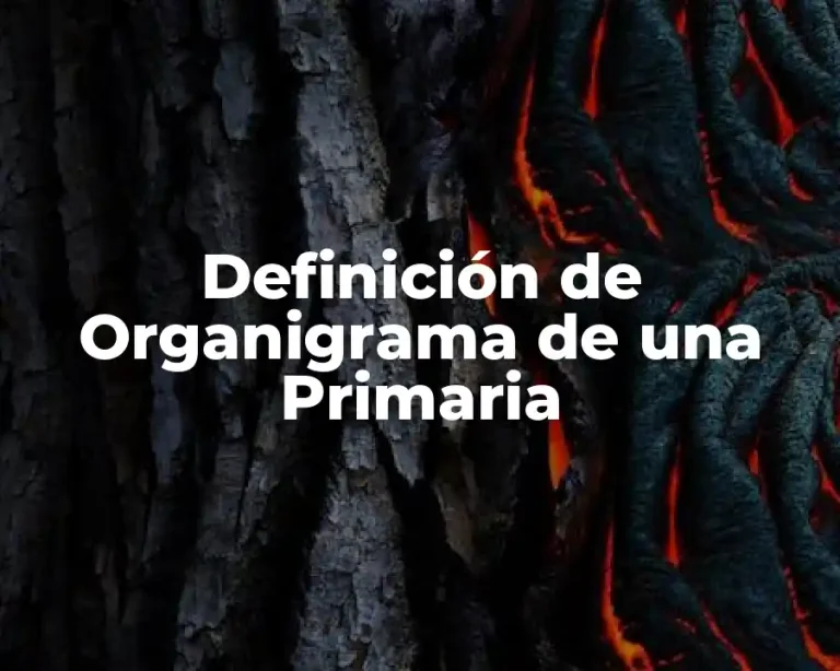 Definición de Organigrama de una Primaria