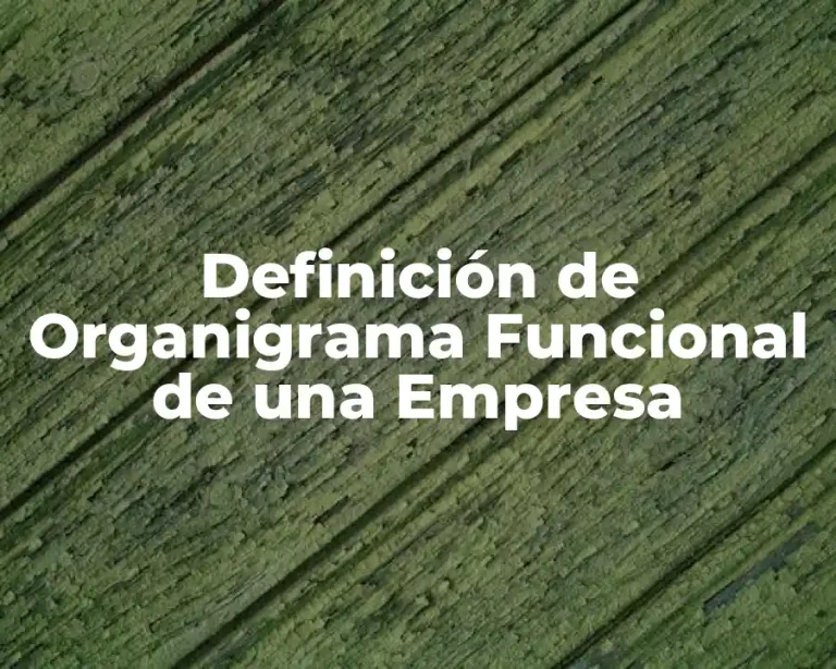 Definición de Organigrama Funcional de una Empresa