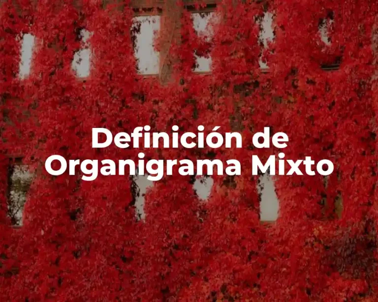 Definición de Organigrama Mixto