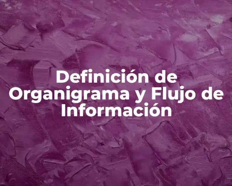 Definición de Organigrama y Flujo de Información