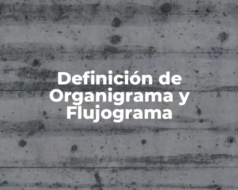Definición de Organigrama y Flujograma