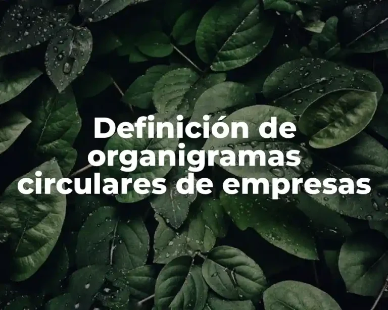 Definición de organigramas circulares de empresas