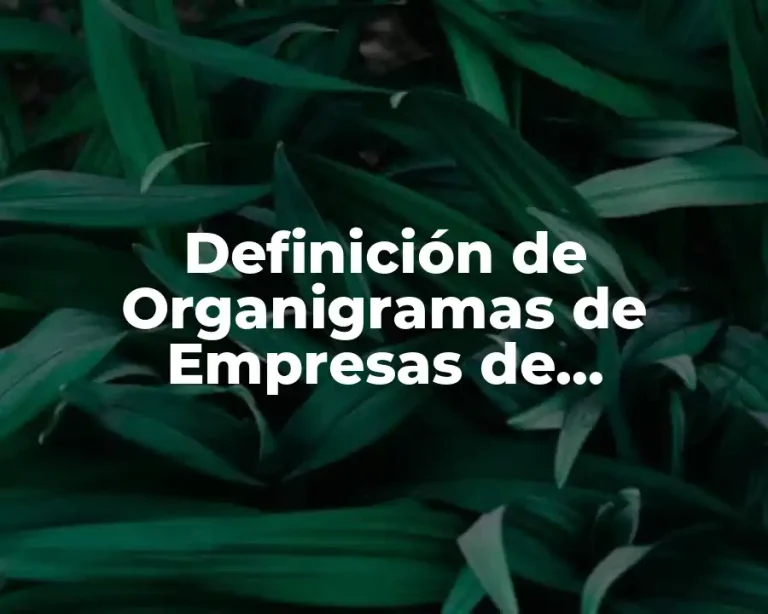 Definición de Organigramas de Empresas de Producción