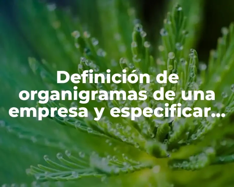 Definición de organigramas de una empresa y especificar su clasificación