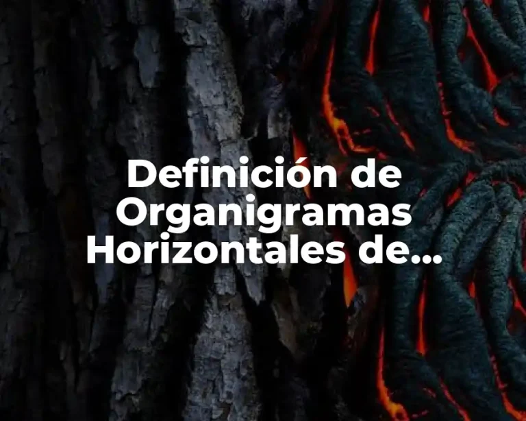 Definición de Organigramas Horizontales de Empresas Reales