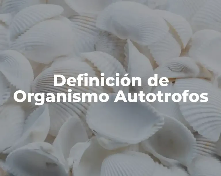 Definición de Organismo Autotrofos