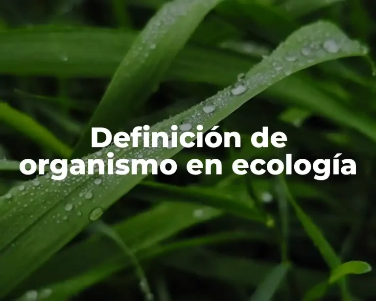 Definición de organismo en ecología