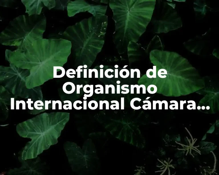 Definición de Organismo Internacional Cámara de Diputados