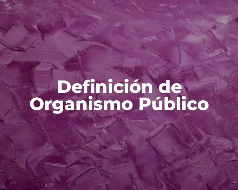Definición de Organismo Público