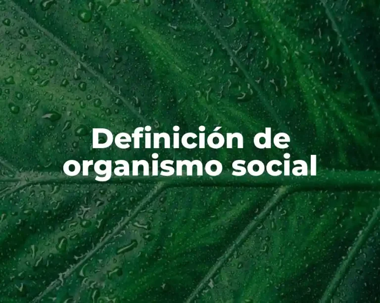 Definición de organismo social