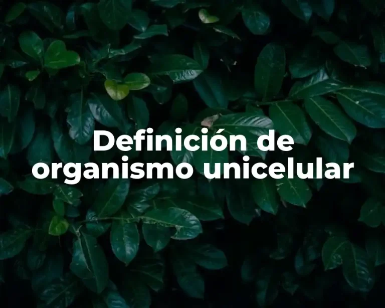 Definición de organismo unicelular
