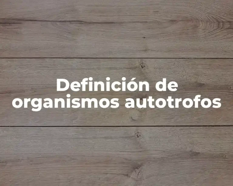 Definición de organismos autotrofos