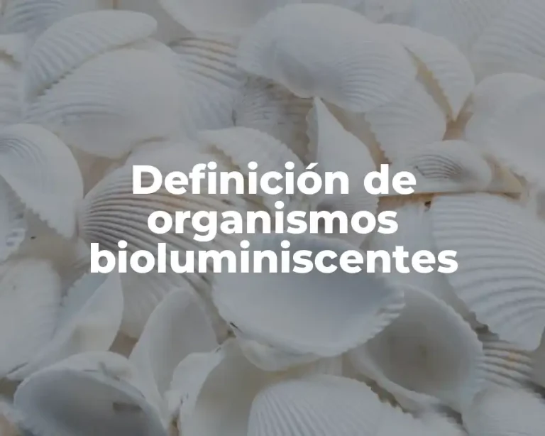 Definición de organismos bioluminiscentes