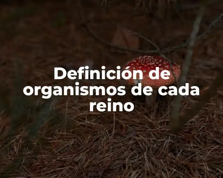 Definición de organismos de cada reino