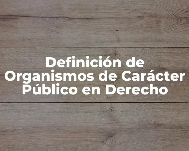 Definición de Organismos de Carácter Público en Derecho